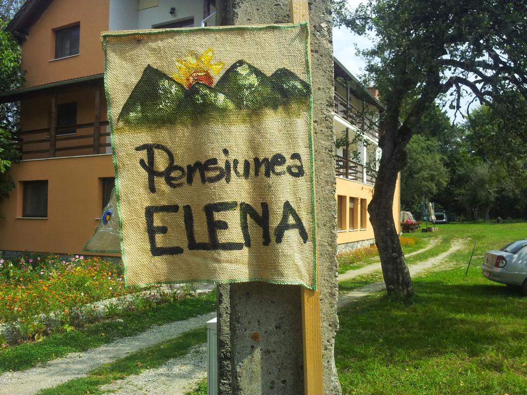 Vistisoara Pensiunea Elena חדר תמונה